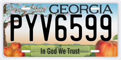 GA license plate PYV6599