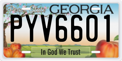 GA license plate PYV6601