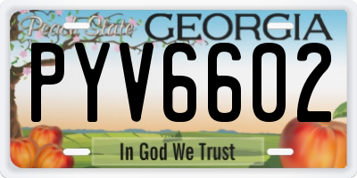 GA license plate PYV6602