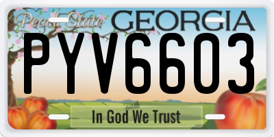 GA license plate PYV6603