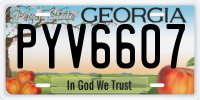 GA license plate PYV6607