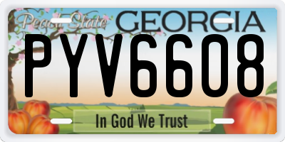 GA license plate PYV6608