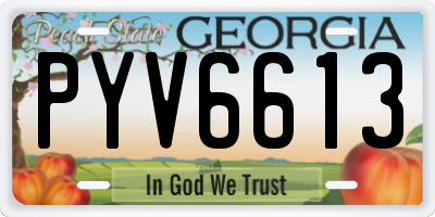 GA license plate PYV6613