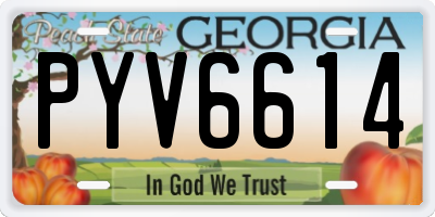 GA license plate PYV6614