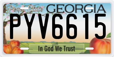 GA license plate PYV6615