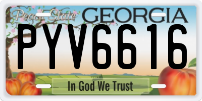GA license plate PYV6616