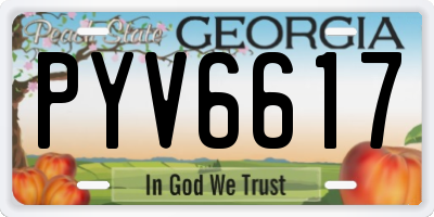 GA license plate PYV6617