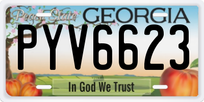 GA license plate PYV6623