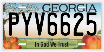 GA license plate PYV6625