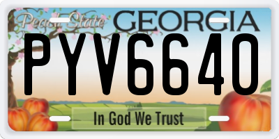 GA license plate PYV6640