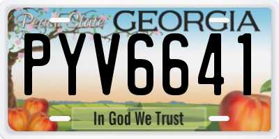 GA license plate PYV6641