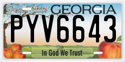 GA license plate PYV6643