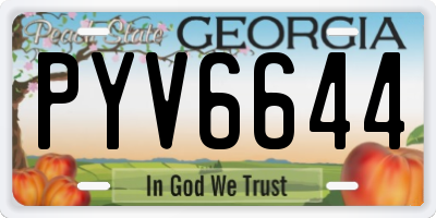 GA license plate PYV6644