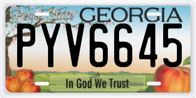 GA license plate PYV6645