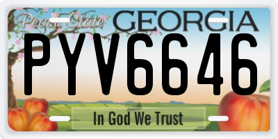 GA license plate PYV6646
