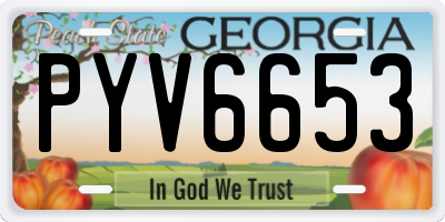 GA license plate PYV6653