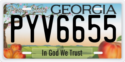 GA license plate PYV6655