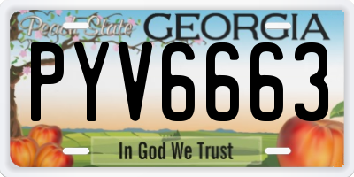 GA license plate PYV6663