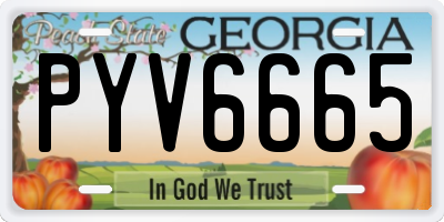 GA license plate PYV6665