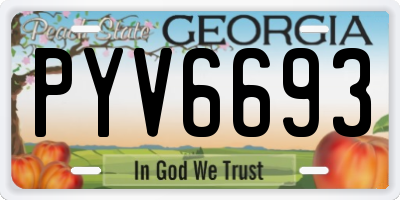 GA license plate PYV6693