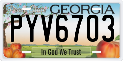 GA license plate PYV6703
