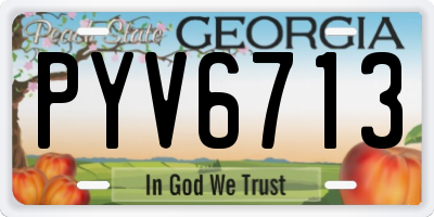 GA license plate PYV6713