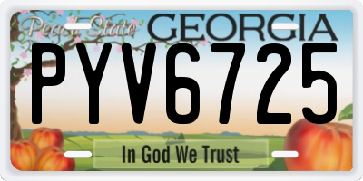 GA license plate PYV6725