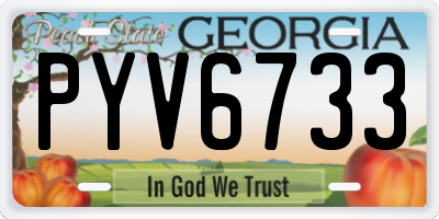 GA license plate PYV6733