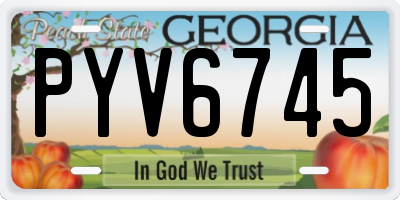 GA license plate PYV6745