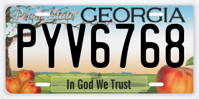 GA license plate PYV6768