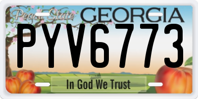 GA license plate PYV6773