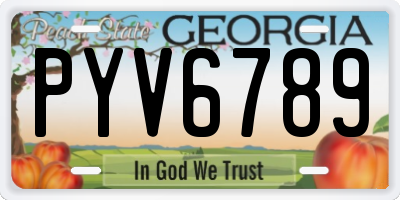 GA license plate PYV6789