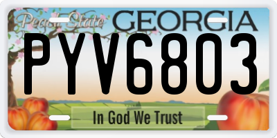GA license plate PYV6803