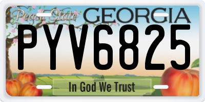 GA license plate PYV6825