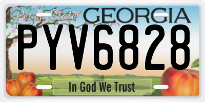 GA license plate PYV6828