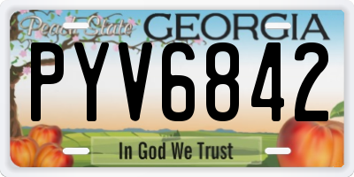 GA license plate PYV6842