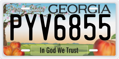 GA license plate PYV6855