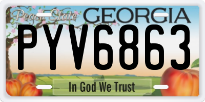 GA license plate PYV6863