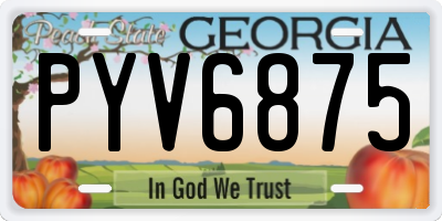 GA license plate PYV6875