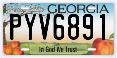 GA license plate PYV6891