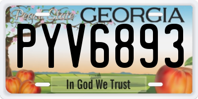 GA license plate PYV6893