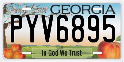 GA license plate PYV6895