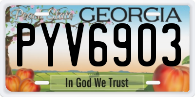 GA license plate PYV6903