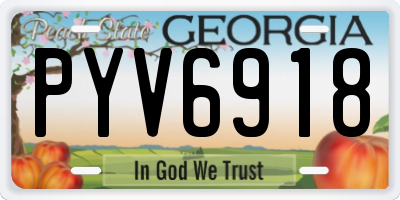 GA license plate PYV6918