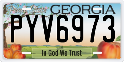 GA license plate PYV6973