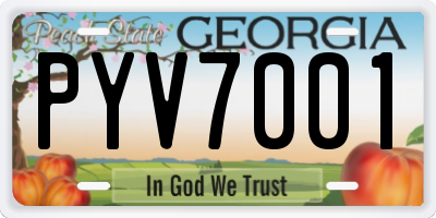 GA license plate PYV7001