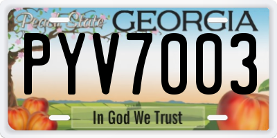GA license plate PYV7003