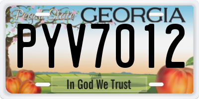 GA license plate PYV7012