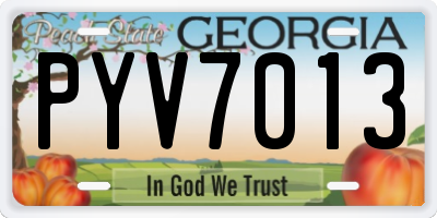 GA license plate PYV7013