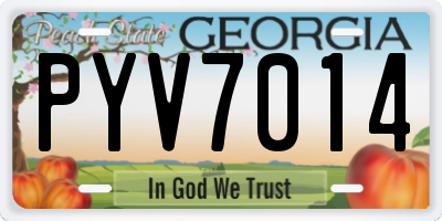 GA license plate PYV7014